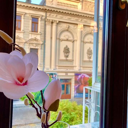 Chira Chiralina Classic Apartment Brăila Buitenkant foto
